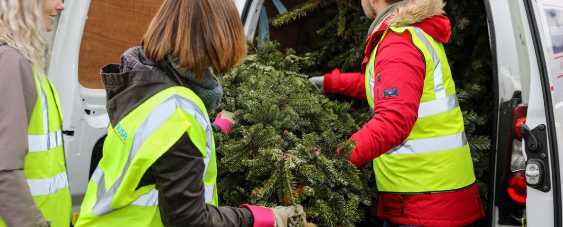 Team effort for Julia's House Christmas tree collection_credit Simon Ward