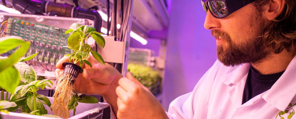 Charlie Guy of LettUsGrow