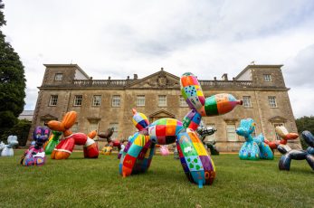 The Swindogs at Lydiard Park