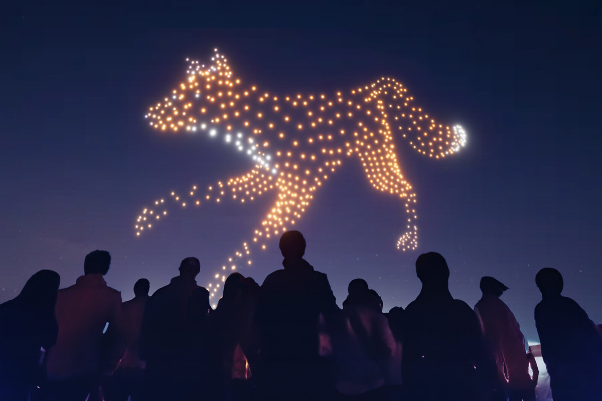 Evolution Bristol 2023