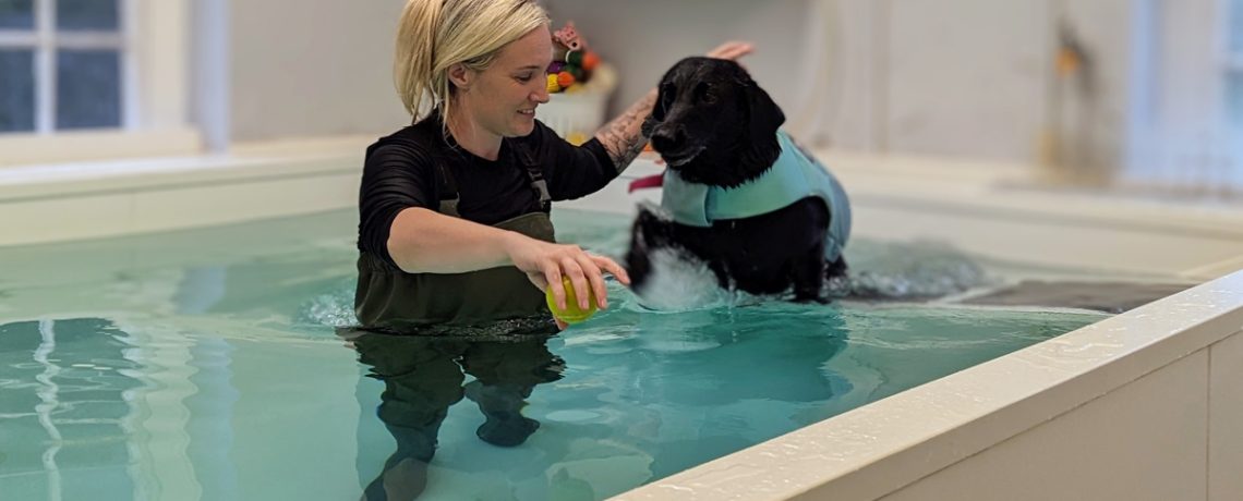 The South West has seen a boom in start-ups with animals at their heart in the last few years, according to the British Business Bank