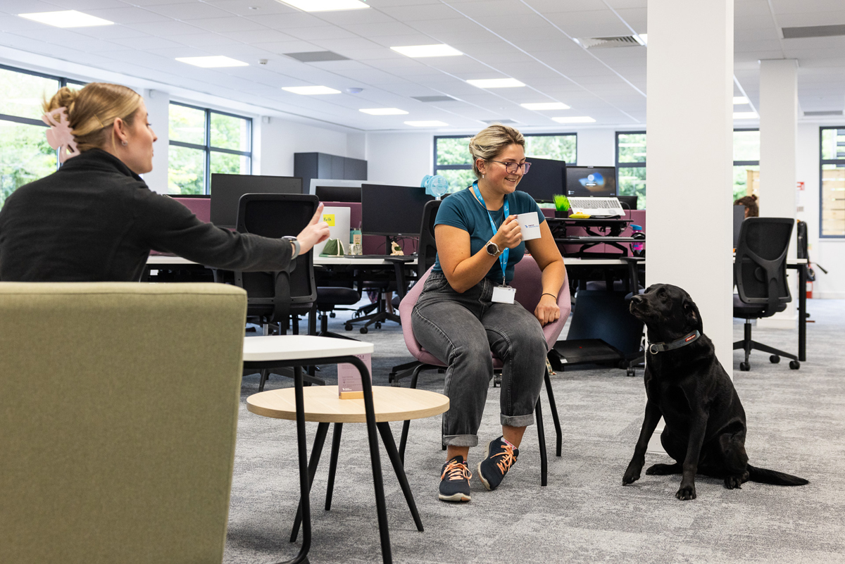Workspace design experts Kerr Office Group have transformed a Swindon office space into a dynamic, industry leading facility for pioneering veterinary education providers Improve International.