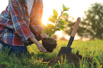 Bristol Airport’s Local Community Fund and Diamond Fund has awarded more than £50,000 to 22 local charities and community groups across North Somerset and South Bristol last month.