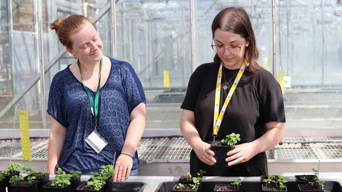 Bristol-based AgriTech startup Albotherm has been awarded a £500,000 grant from Innovate UK to advance its cutting-edge greenhouse technology.