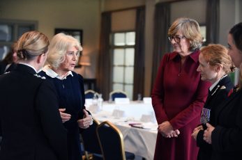 The Queen has met with Wiltshire campaigners to find out about the drive to tackle violence against women and girls.