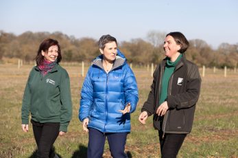 A new national forest stretching from the Cotswolds to the Mendips is set to be created, the government has announced today (Friday 21 March).